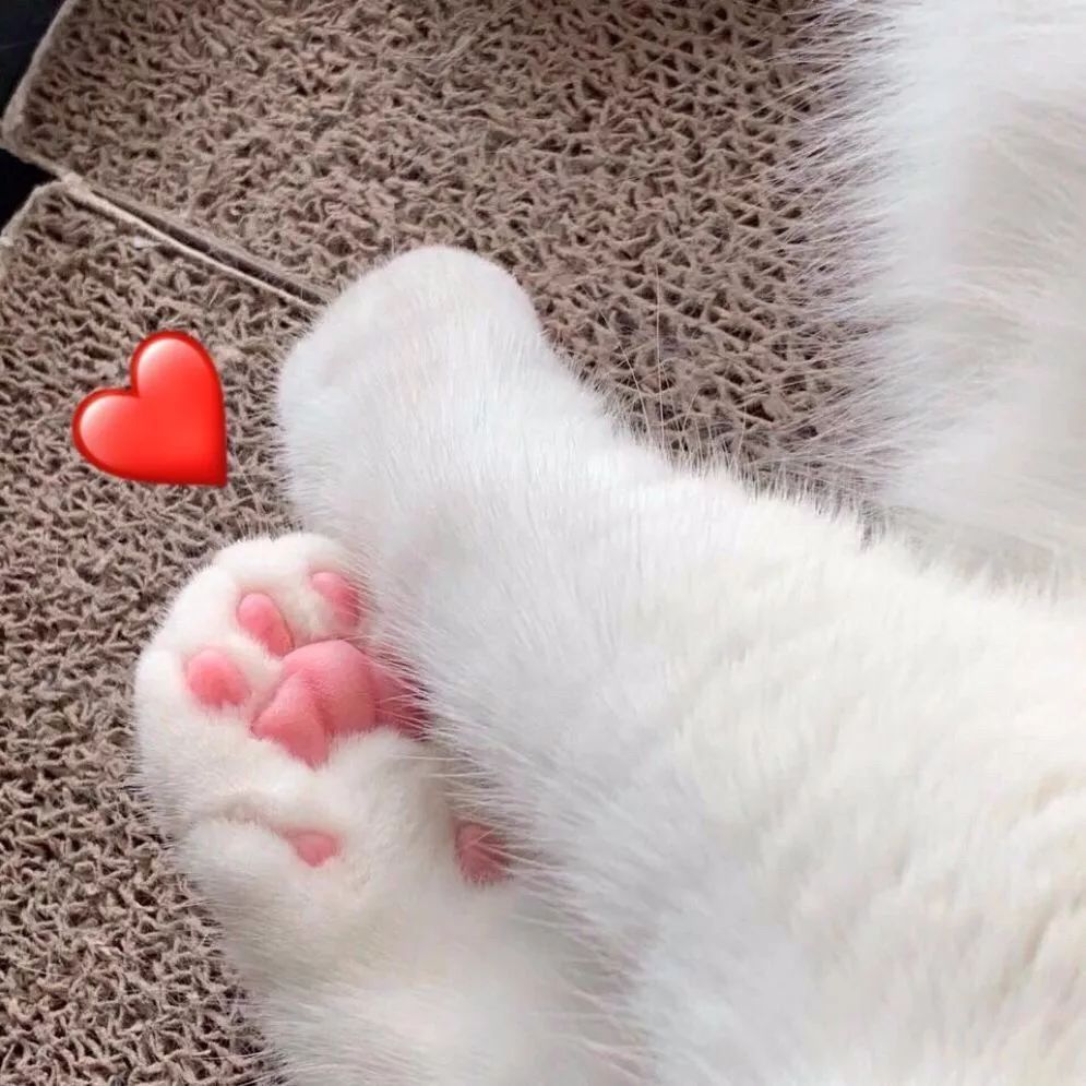 在家做袖套,袖套自己做