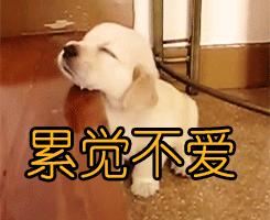 夏可叔叔扒产品——科颜氏高保湿清爽霜