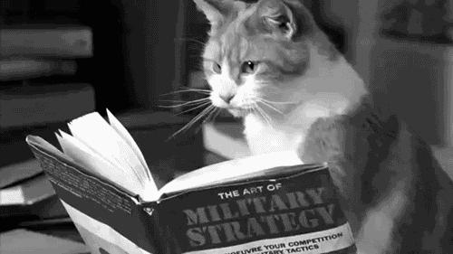 比较修复头发的护发素测评,秃头姐妹护发精油