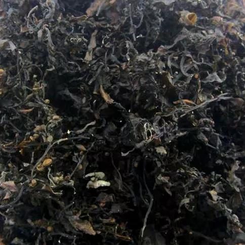 干货大全图,干货大全电子版