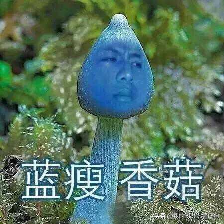 BOSS观点：你们凭什么这么牛13？