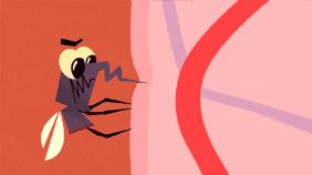 「共63题」强国争上游答题中的“动物世界”专题（最全辨析）