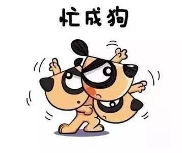 关于豢养宠物的那些事,关于饲养宠物的相关法律