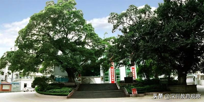 走名校vol.14|西乡中学：50年，我们专注做一件事