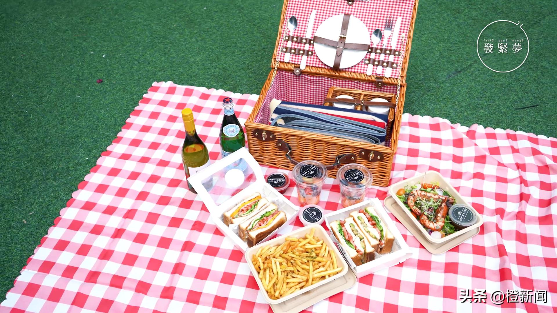 宠物狗带公园里遛需要注意什么,宠物公园开园仪式