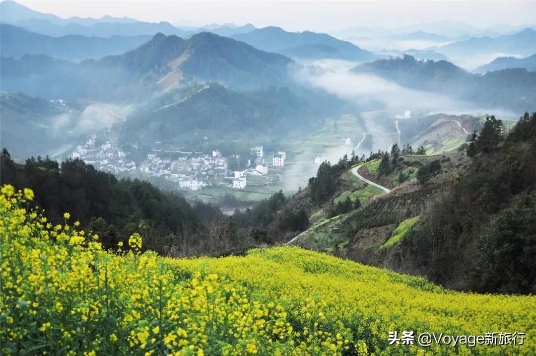 旅行民宿春天赏花,附近哪里有赏花民宿