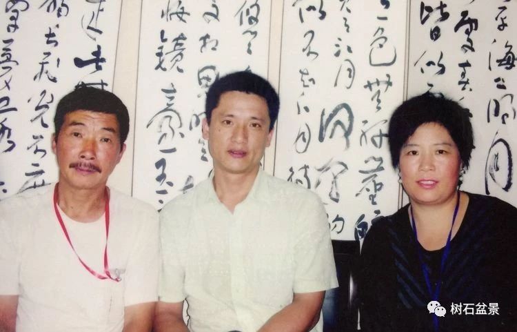 金艳盆景精品欣赏,幸得一知己