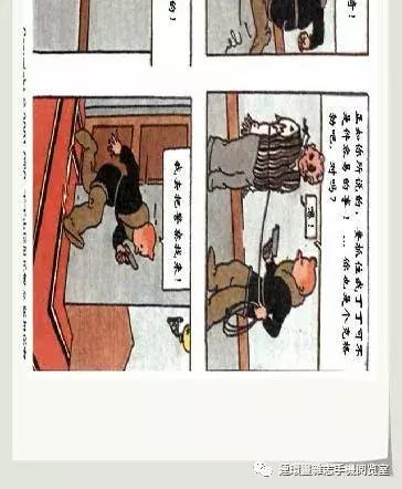 丁丁和丁丁历险记论文,丁丁历险记丁丁的服装