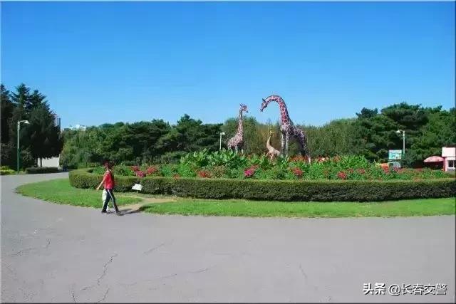 长春发布重要通知情况,长春面向社会公开招聘