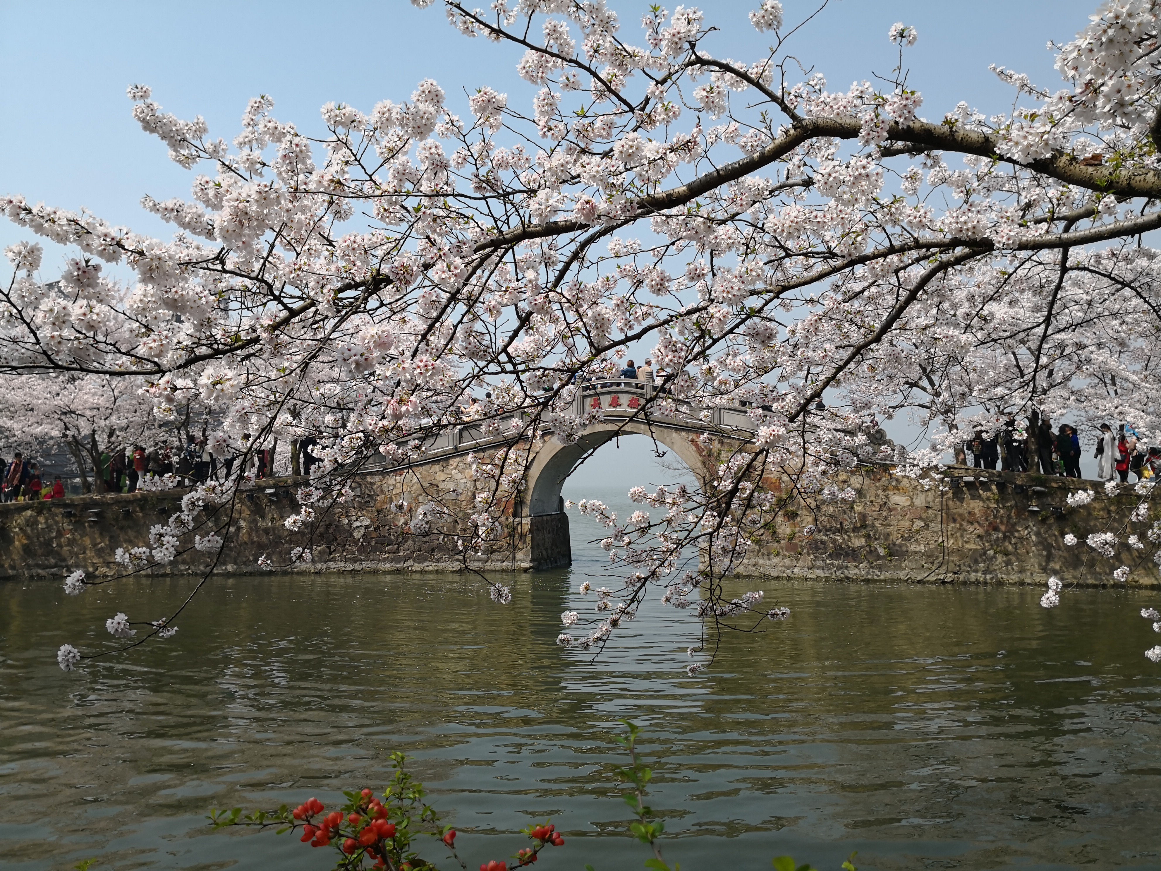 你心中的江南是怎样的？余光中笔下的江南：是山水是爱人是母亲