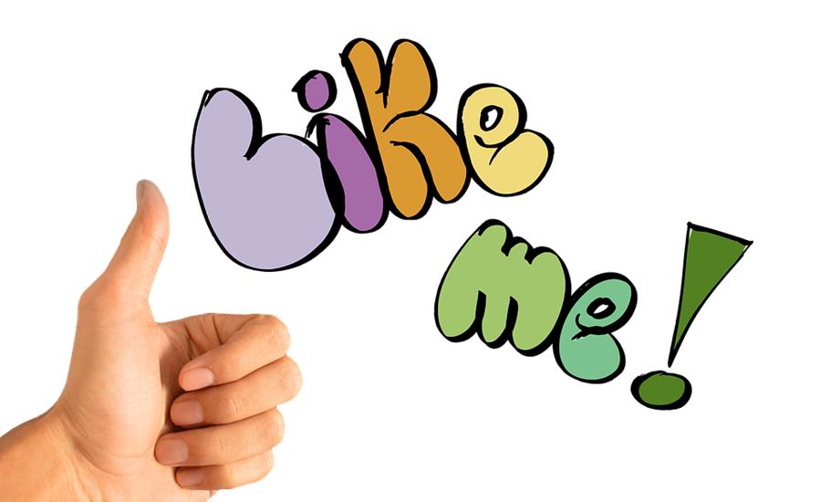 猫爪杯疯抢,猫爪杯事件分析