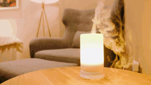 茶树精油适合什么痘痘,茶树精油祛痘的正确用法