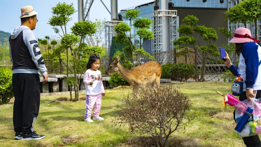 这个真实存在的古村落美如仙境,沂蒙山风景区内的古村落