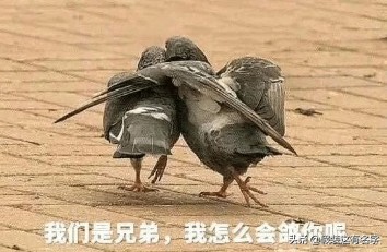 有什么沙雕到极致的群名称,最全的沙雕群名