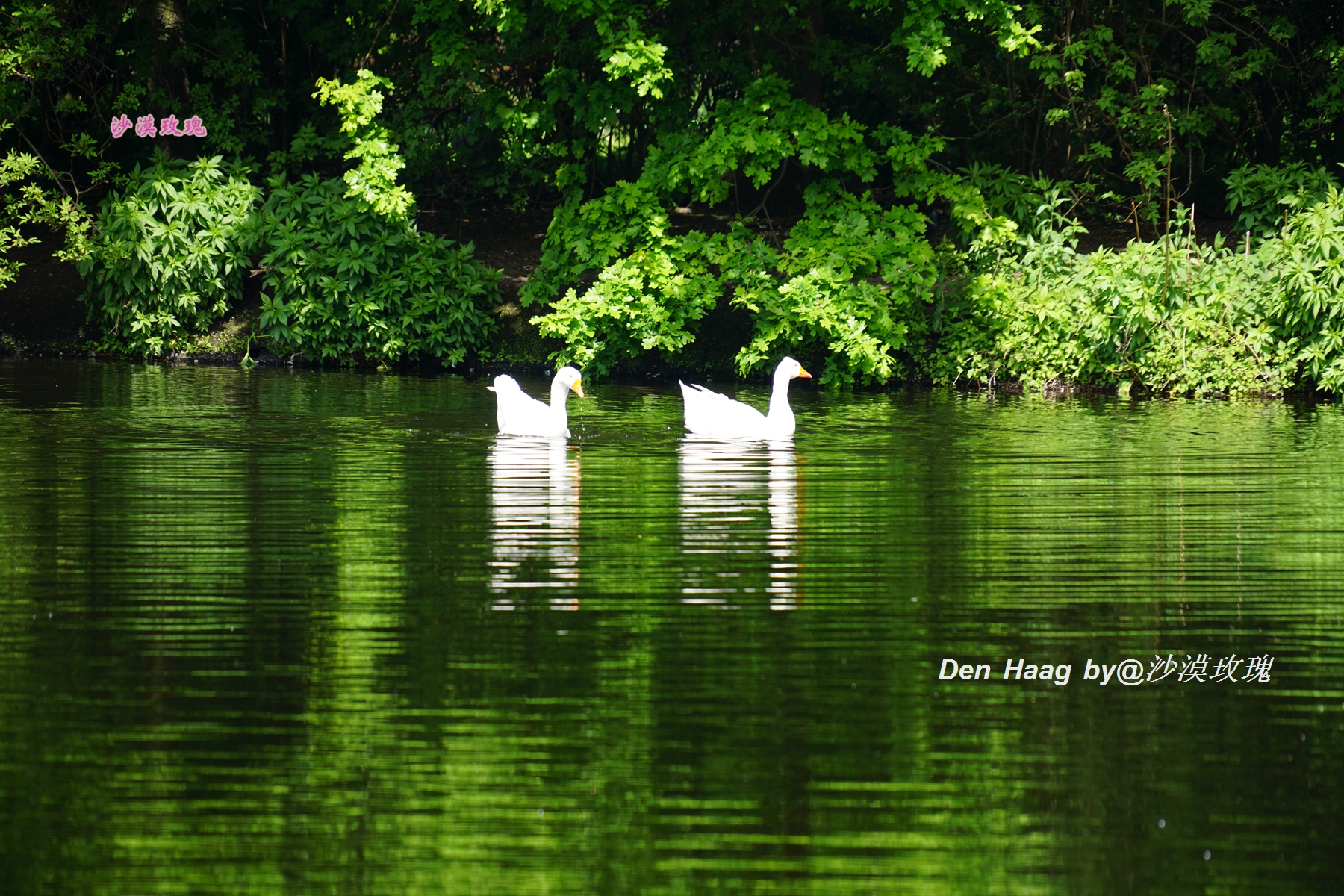 aa制的另一种说法,AA制的意思