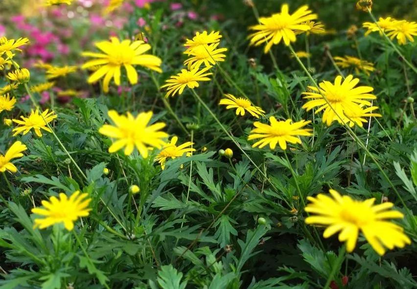 朋友圈设置多久可见最好,设置朋友圈三天可见有记录吗