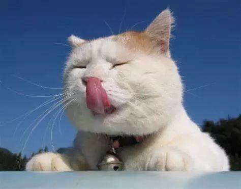 舔舔舔!唇炎找上门来怎么办?!