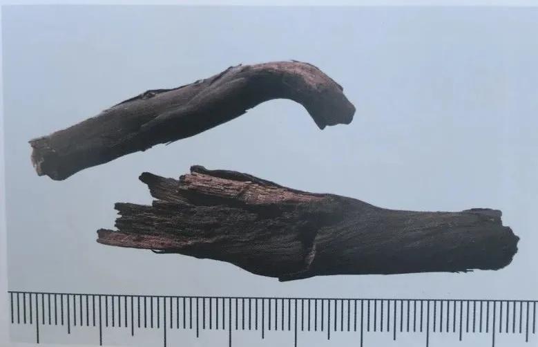 紫草中含哪些有效成分,紫草膏的紫草是什么样子