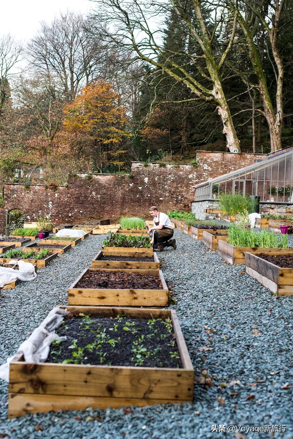 英国美食中国美食,英国美食排行榜前十名炸鱼薯条