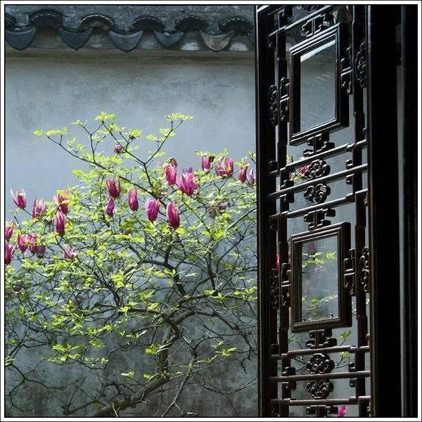 身为华夏子孙,百家姓的故事你不得不知