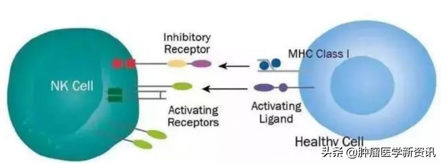 21年里患癌5次他被医生赞为传奇,三度患癌却依然成功抗癌30年