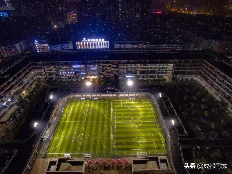 成都公共球场,成都公共体育场馆