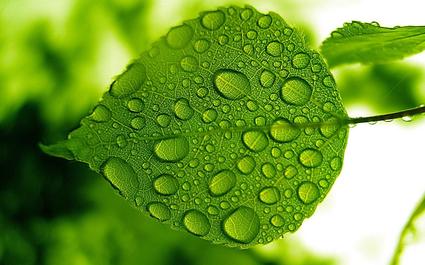 莫名心情烦躁怎么缓解,莫名烦躁易怒怎么安慰