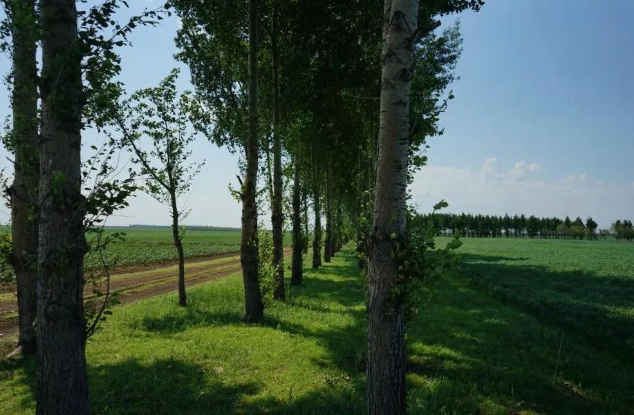 重新认识价值,重新认识东北完整版