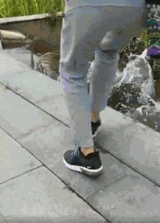 什么狗能打得过二哈,一群狗打二哈吓腿软