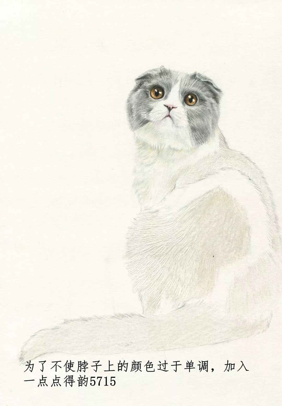 素描动物最全的收集,精微素描动物临摹高清大图