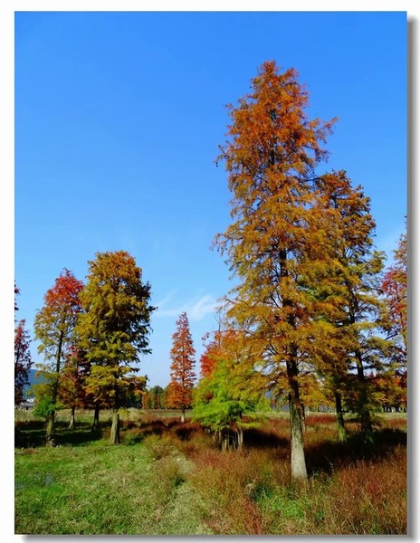 余姚四明湖开元山庄,余姚四明湖开元山庄自驾游