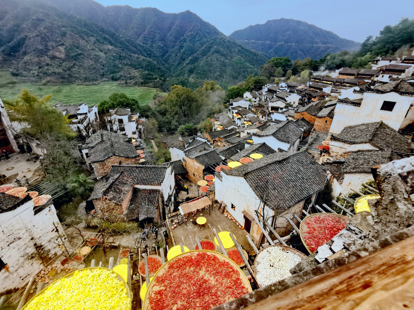 濠烘簮绡佸箔寰芥淳寤虹瓚浜虹敓鎰熸偀,濠烘簮绡佸箔鎰熸偀