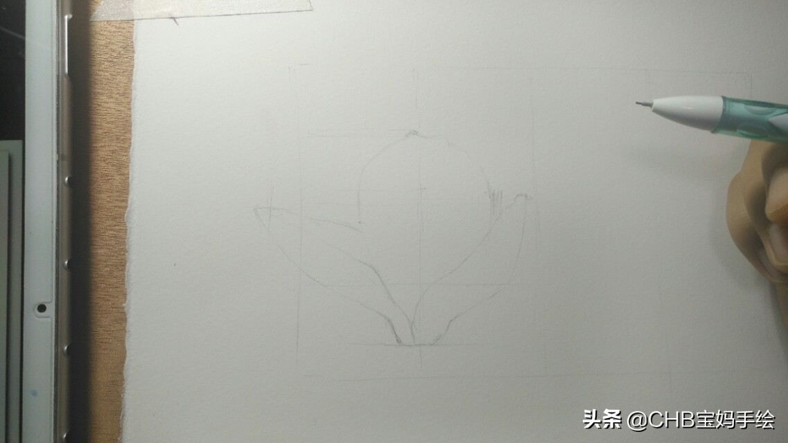 玉兰彩铅画教程图解,零基础彩铅画入门教程桃花