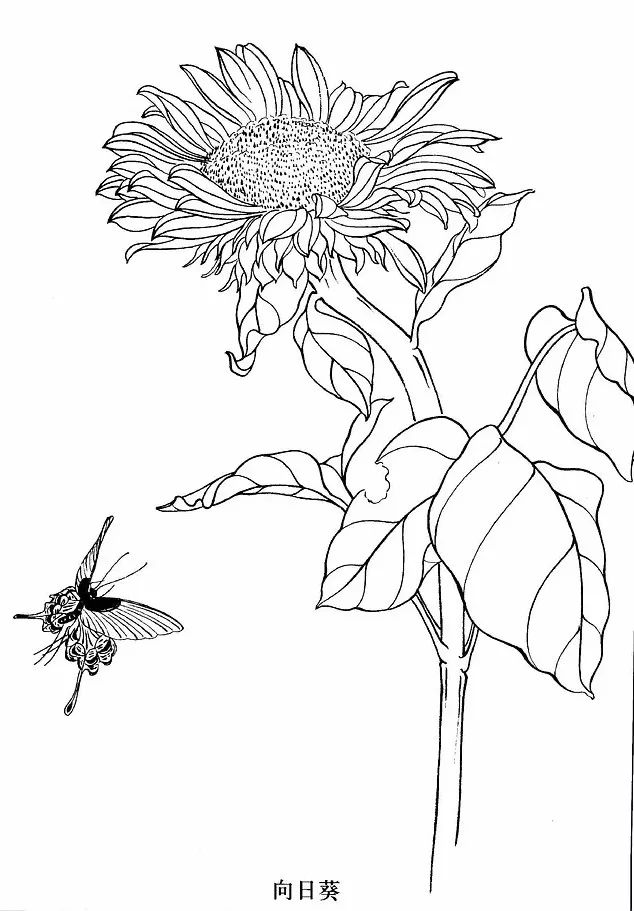 手绘画素材书,100张手绘素材图片