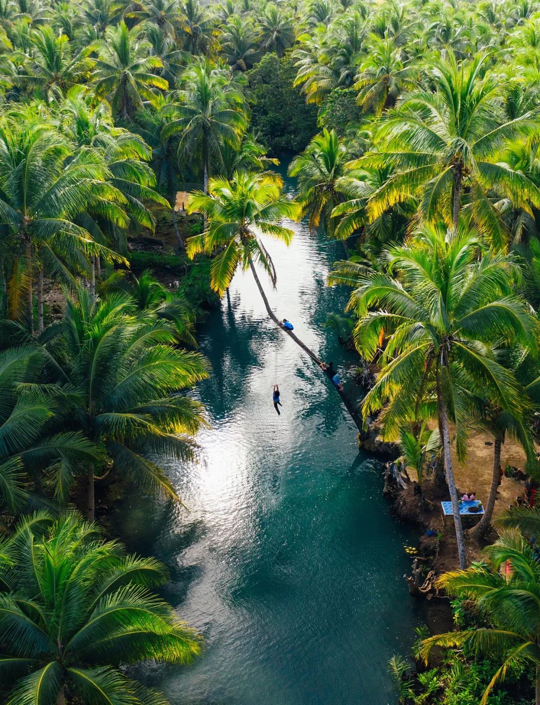 菲律宾碎玻璃,菲律宾塑料破碎