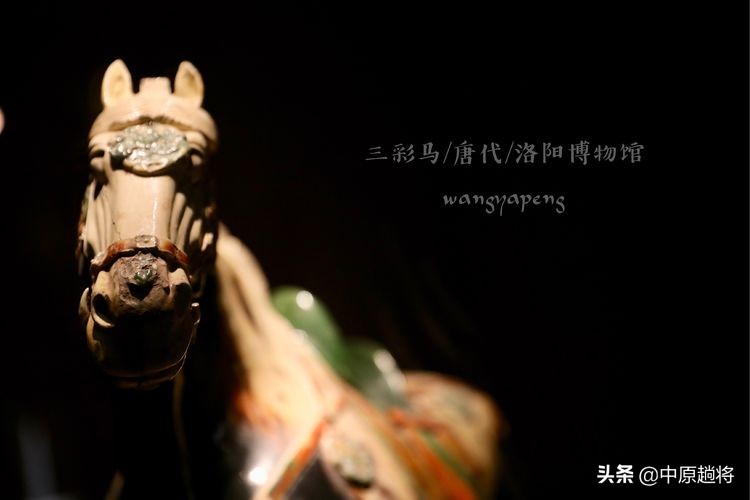 洛阳博物馆专门为二十多件珍宝成立了一个展馆