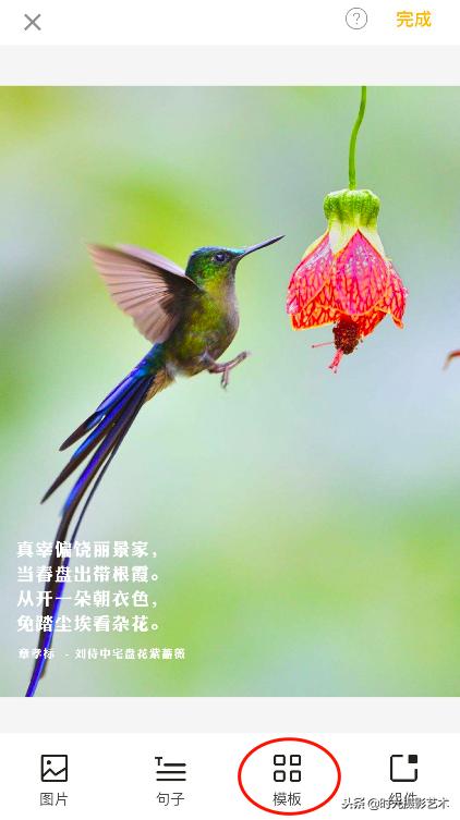 微信图片配文字好听的,微信图片文字怎么搭配