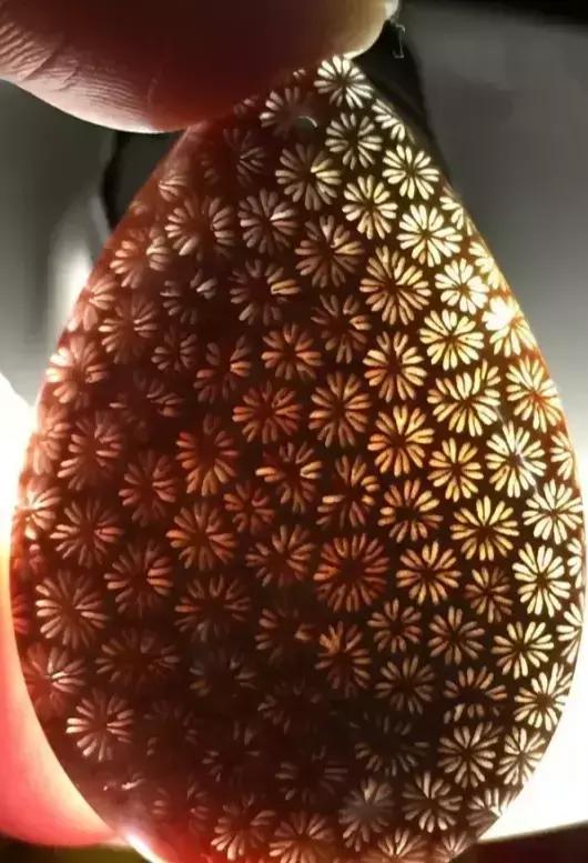 珊瑚玉怎么分辨品质好坏,珊瑚玉珠怎么辨真伪