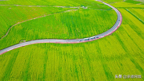 2022承德市围场县重点建设项目,承德围场最新项目