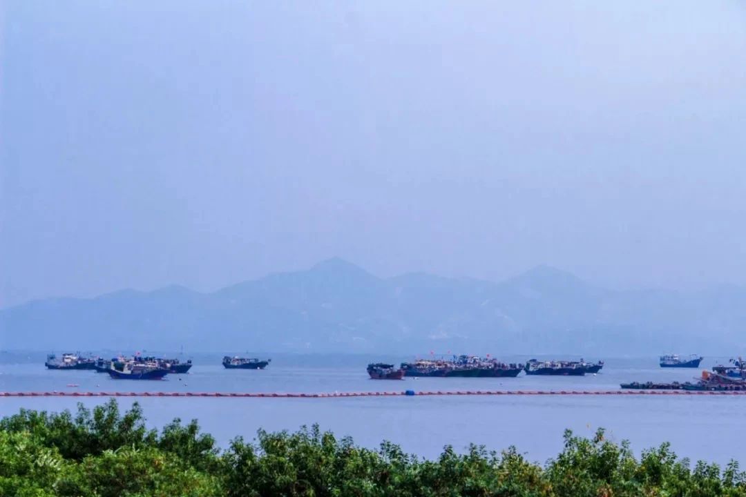 深圳看海去哪里比较好,深圳出地铁就看海的地方是哪里