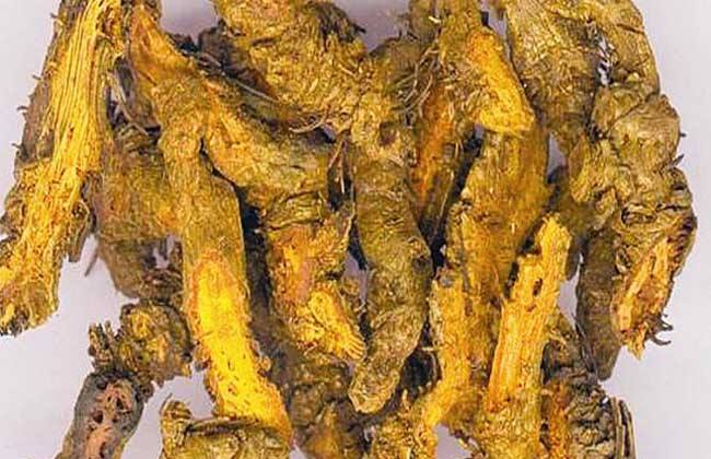 黄连的功效与作用吃法,黄连的功效与作用男性