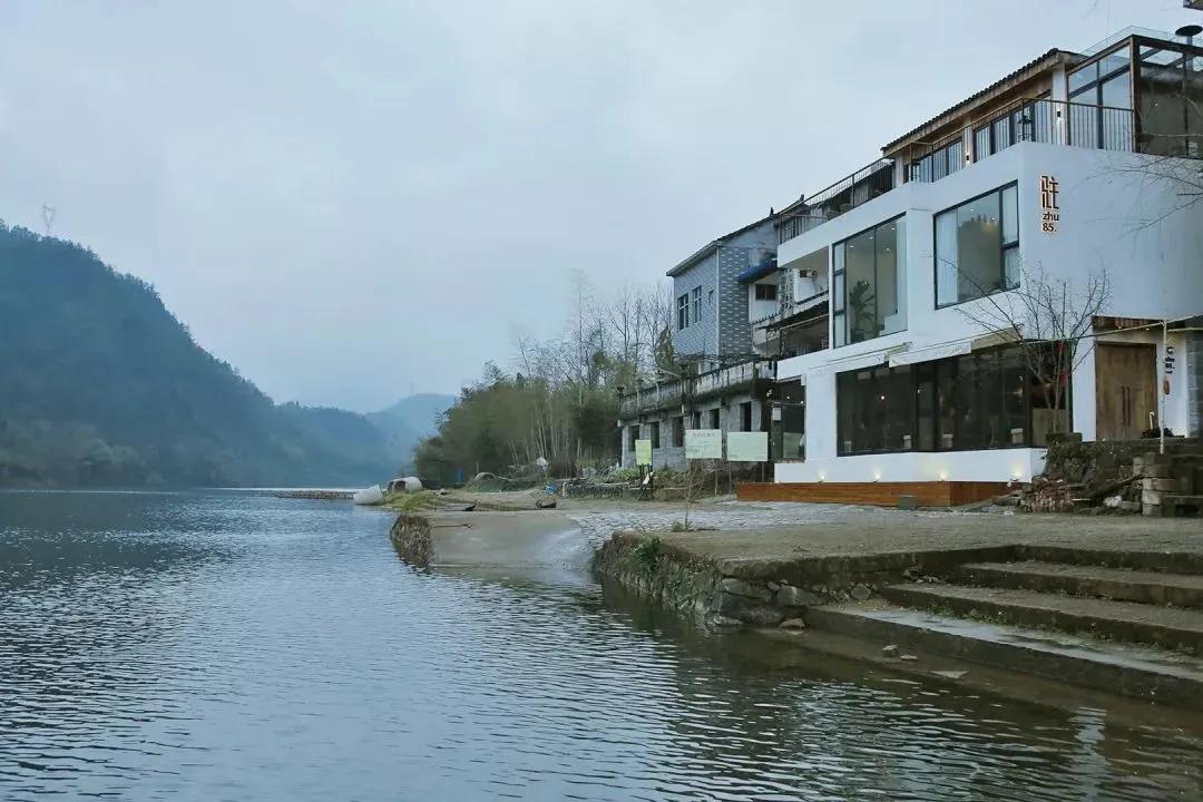 丽水上热搜,浙江丽水现萤火虫星海