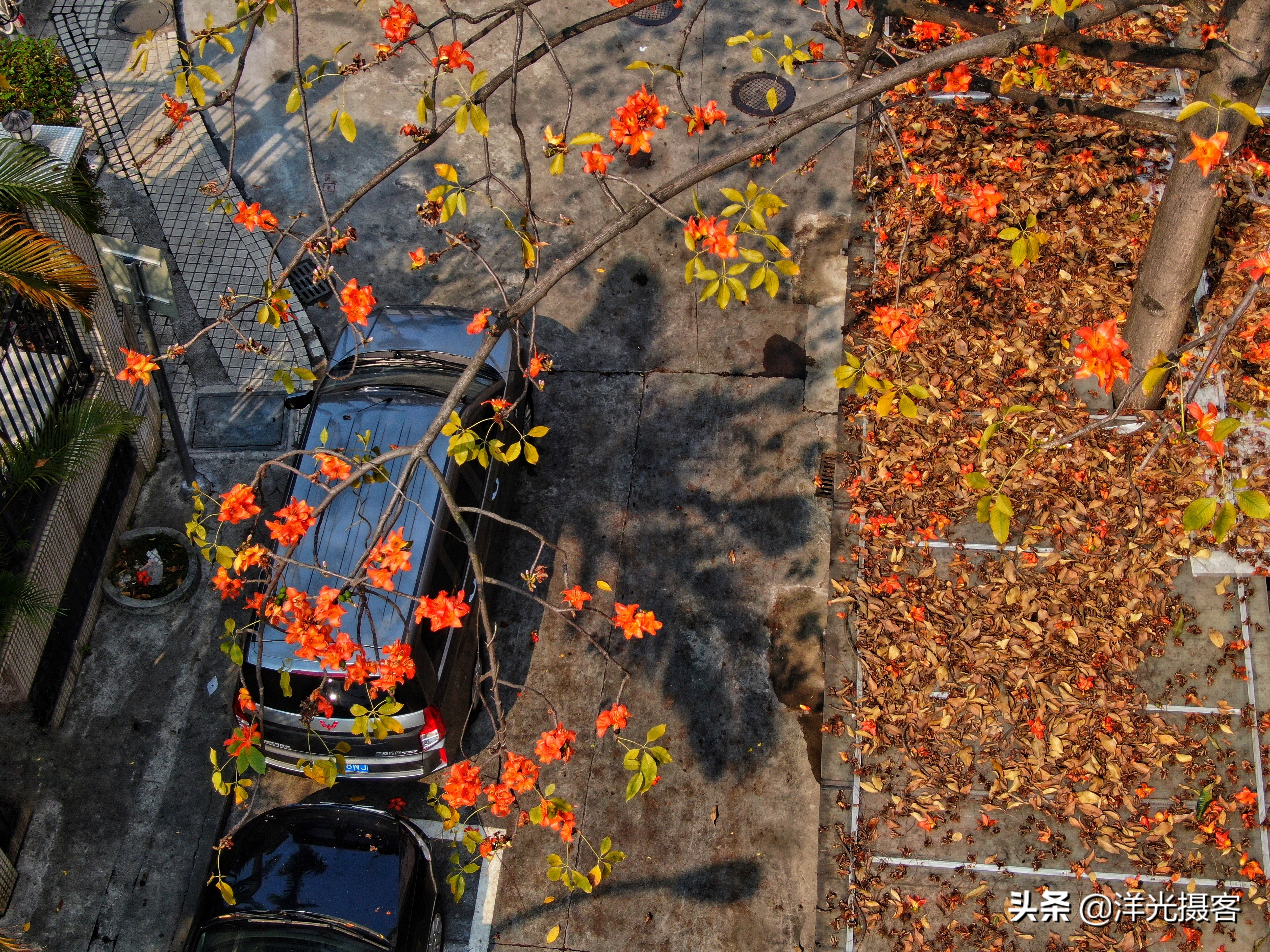 这个特殊的春天即将过去,这个特殊的春天作文