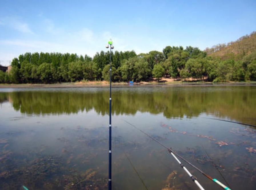 钓鱼学问真多,钓鱼过程中应注意的一些小常识