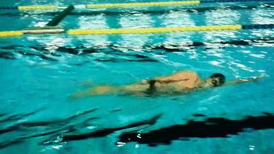 自由泳动作大全及详细讲解,自由泳技术动作详解