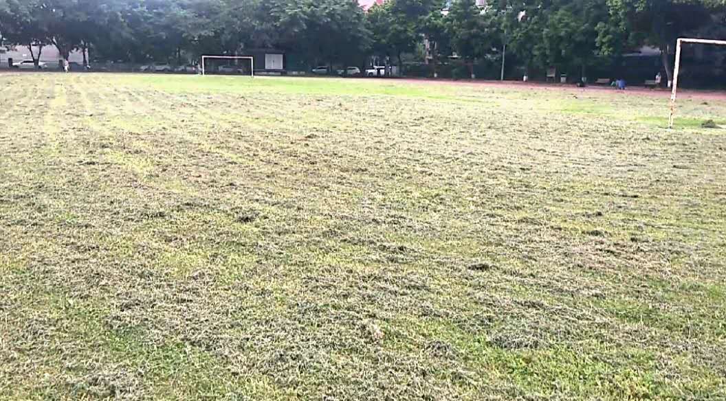 漫漫踢球路：疫情后的草根足球艰难前行“续”