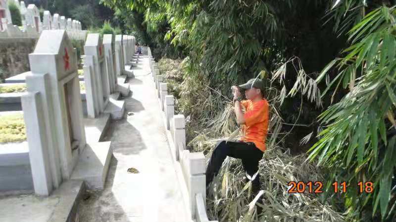 志愿者的心路历程,志愿者心路历程完整版