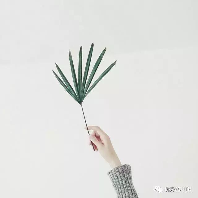 岁月静好，我想将流年讲给你听