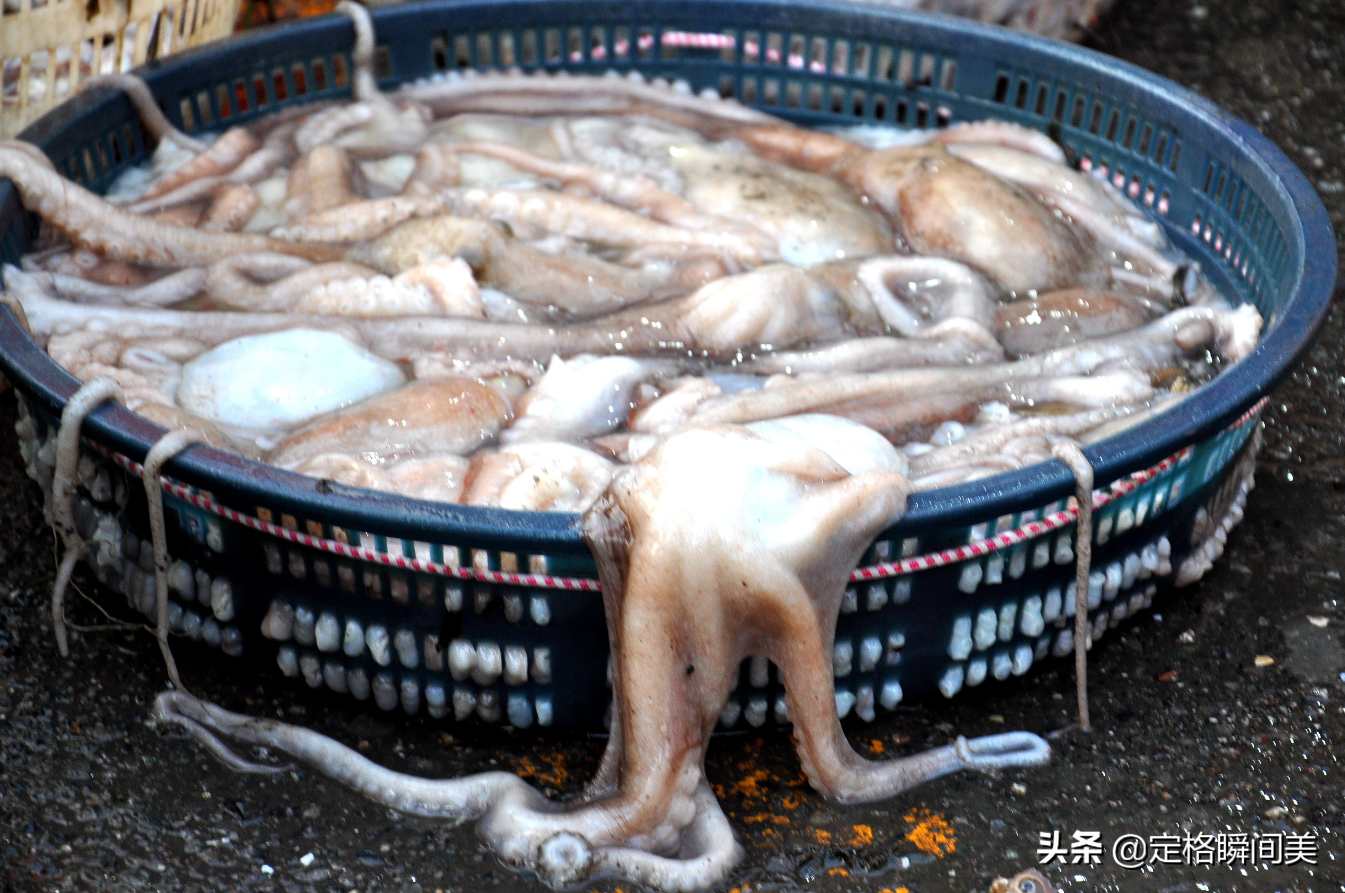 青岛批发市场海虾,青岛早市海虾