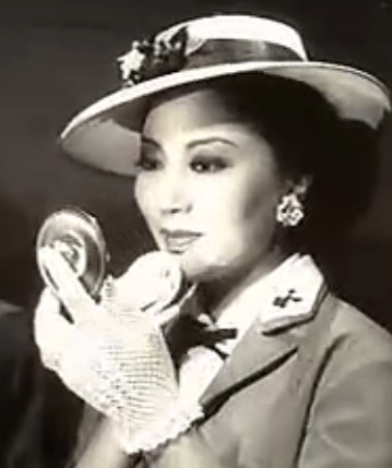 伪装者明家的老妈子,军统与日本女特务